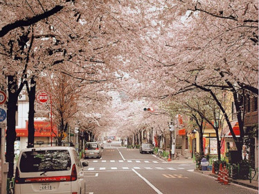 日本大學